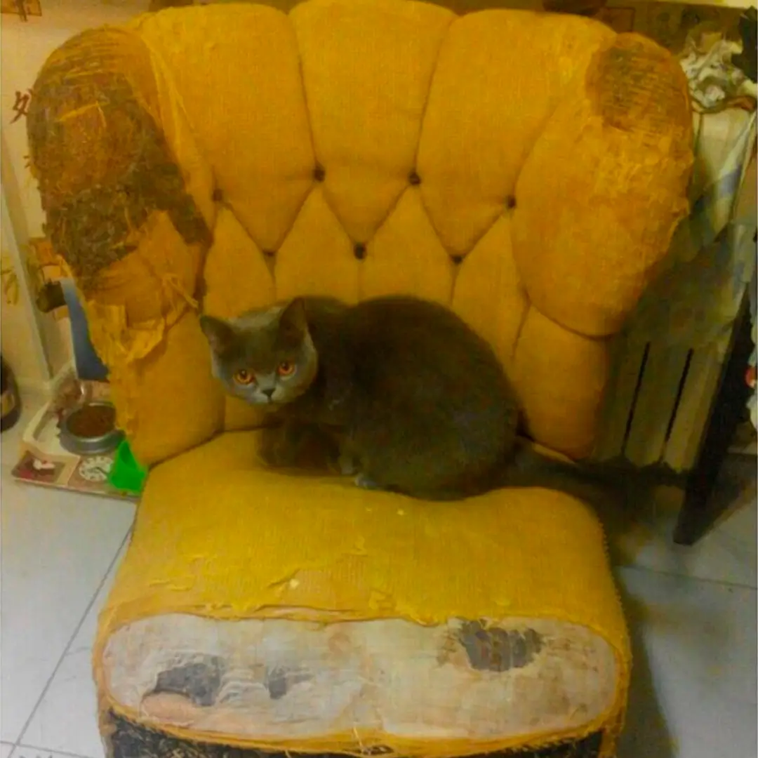 Перетяжка кресла до